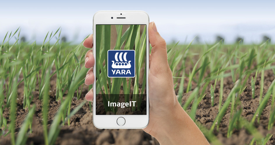 Yara ImageIT