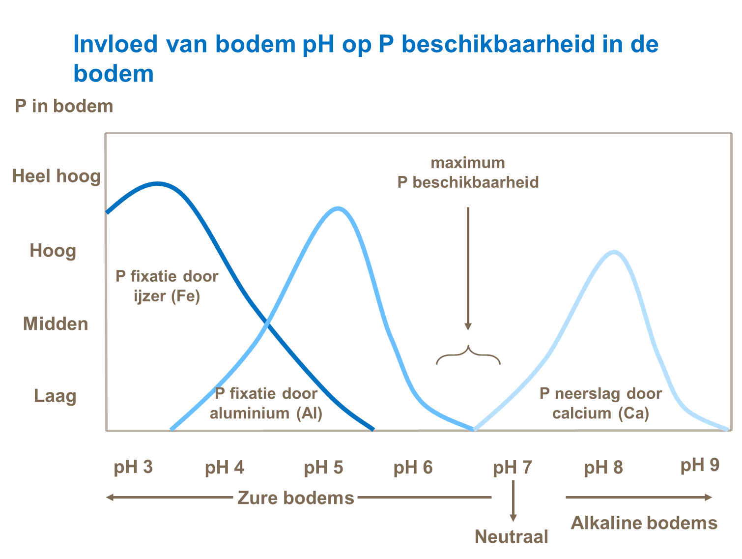 Invloed van bodempH op P beschikbaarheid