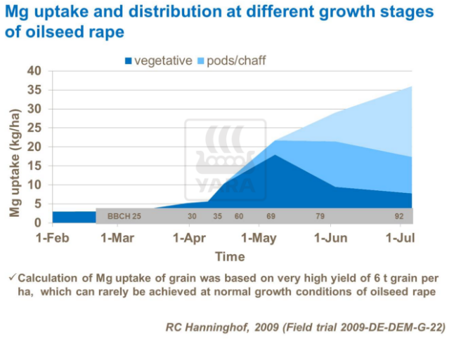 Absorption et distribution du magnésium à différents stades de croissance du colza