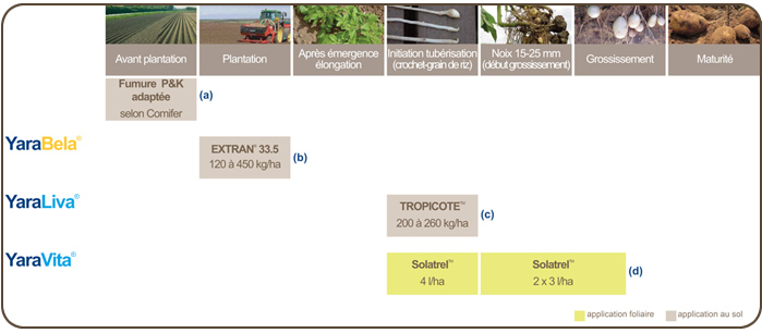 plan de fertilisation