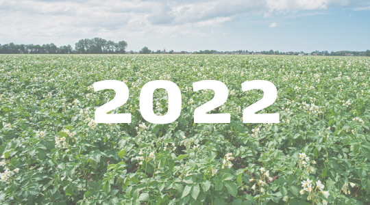 Jaaroverzicht artikelen 2022