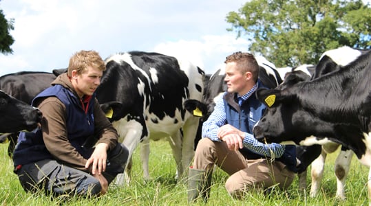 Zwavel op grasland loont met € 270