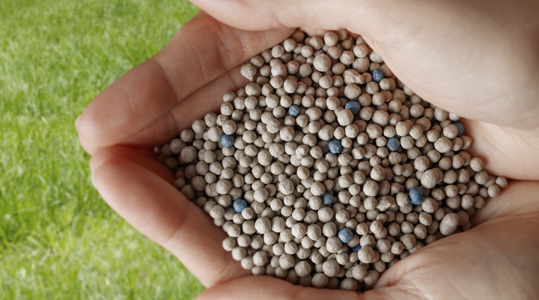 Kwaliteit is nu blauw