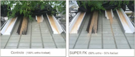 GLAS19 02 Proef 1.png