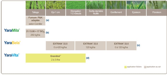 plan de fertilisation
