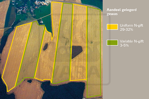 Legering terugdringen