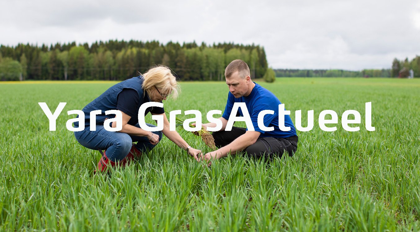 Yara GrasActueel nieuwsbrieven