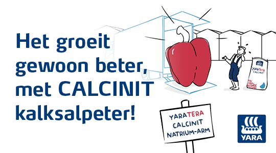 CALCINIT campagne 2020