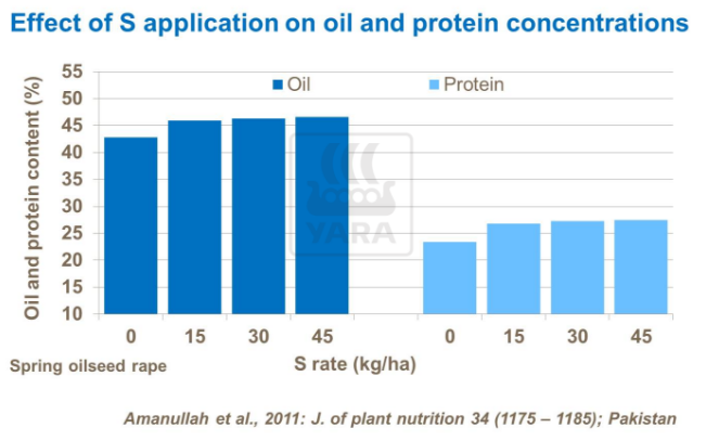 Effet du soufre sur l'huile et concentration de prot&eacute;ines
