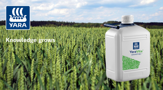 Close up van hand in het graan