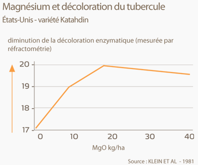 Potasse et décoloration du tubercule