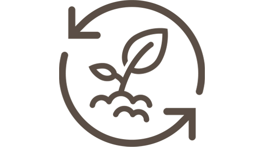 Circular economy.jpg