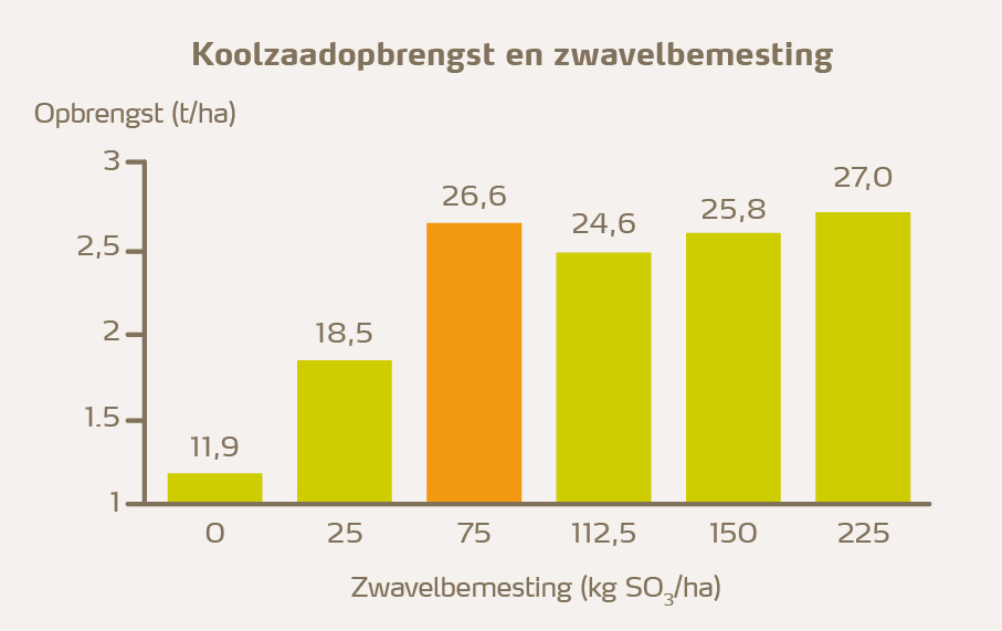 koolzaad en opbrengst