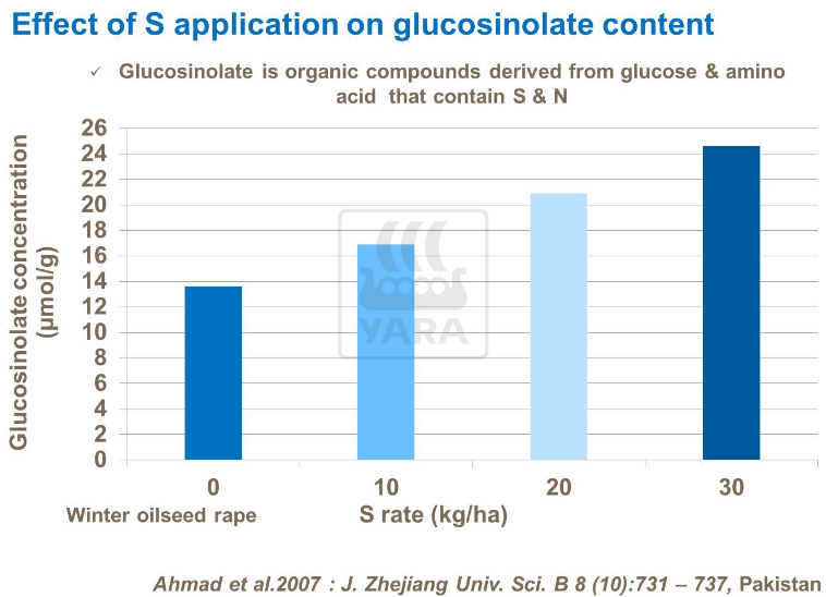 Effet du soufre sur la teneur en glucosinolate