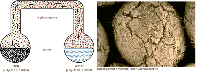 Fysieke eigenschappen