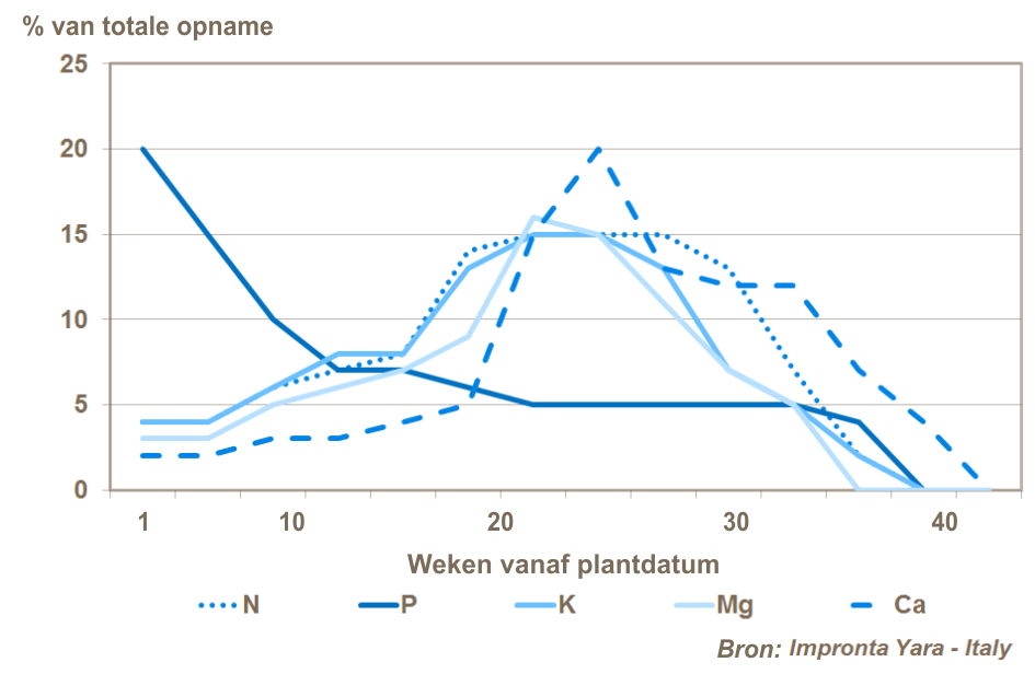 Opname van de belangrijkste elementen
