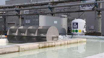 milieu algenproductie