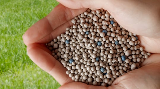 Aug19 - Kwaliteit is blauw PI.jpg