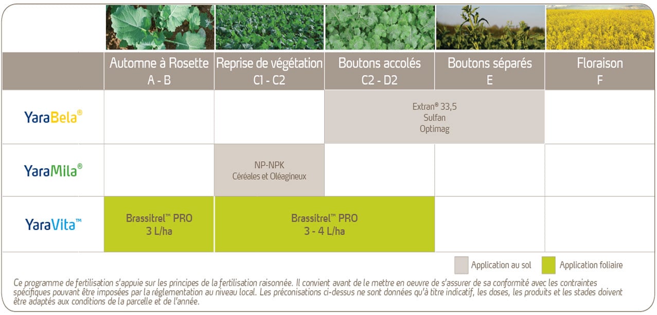Programme de nutrition du colza&nbsp;- Liquide