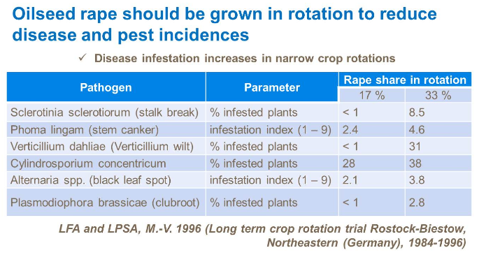 le colza devrait être cultivé en rotation pour réduire l'incidence des maladies et des ravageurs