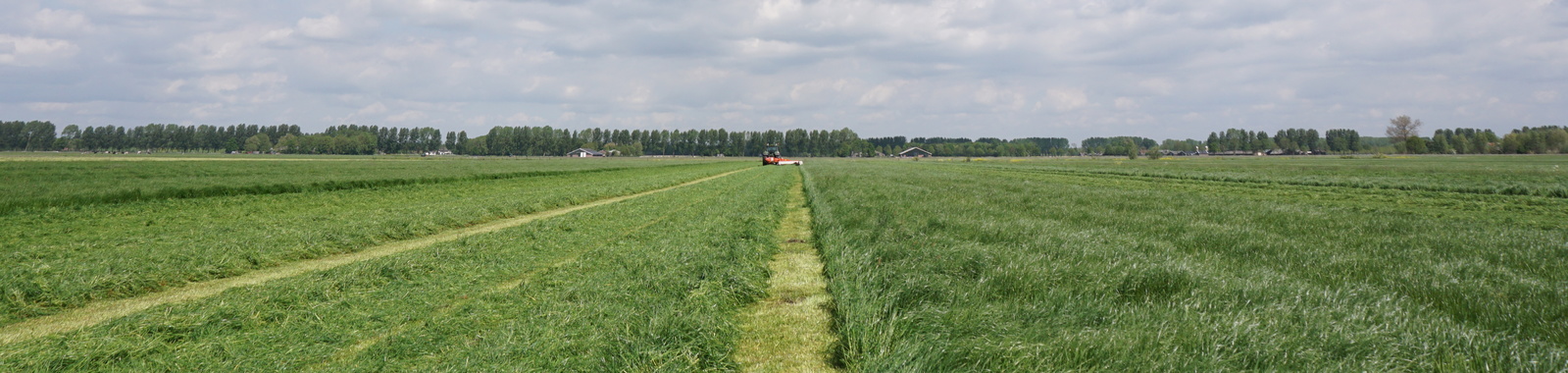 Programme de nutrition pour l'ensilage