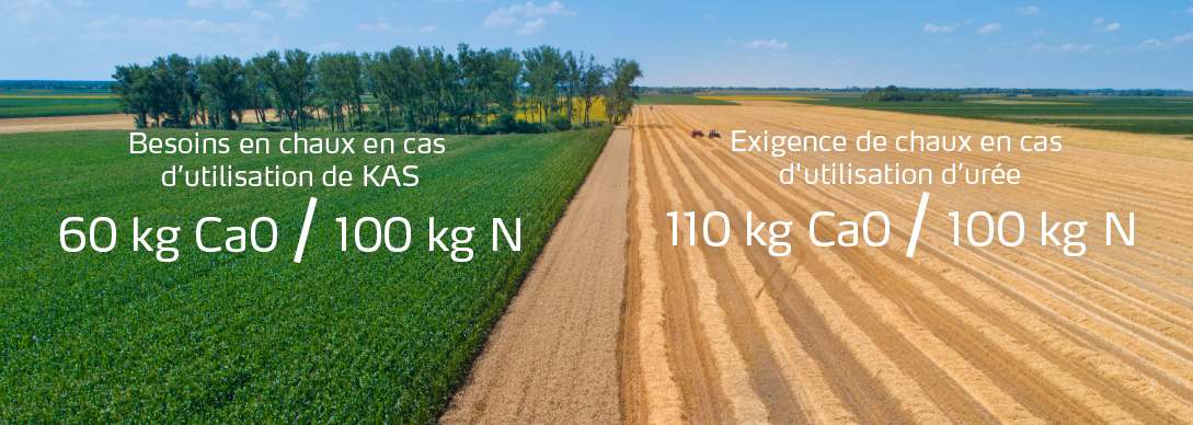 Besoins en chaux.jpg