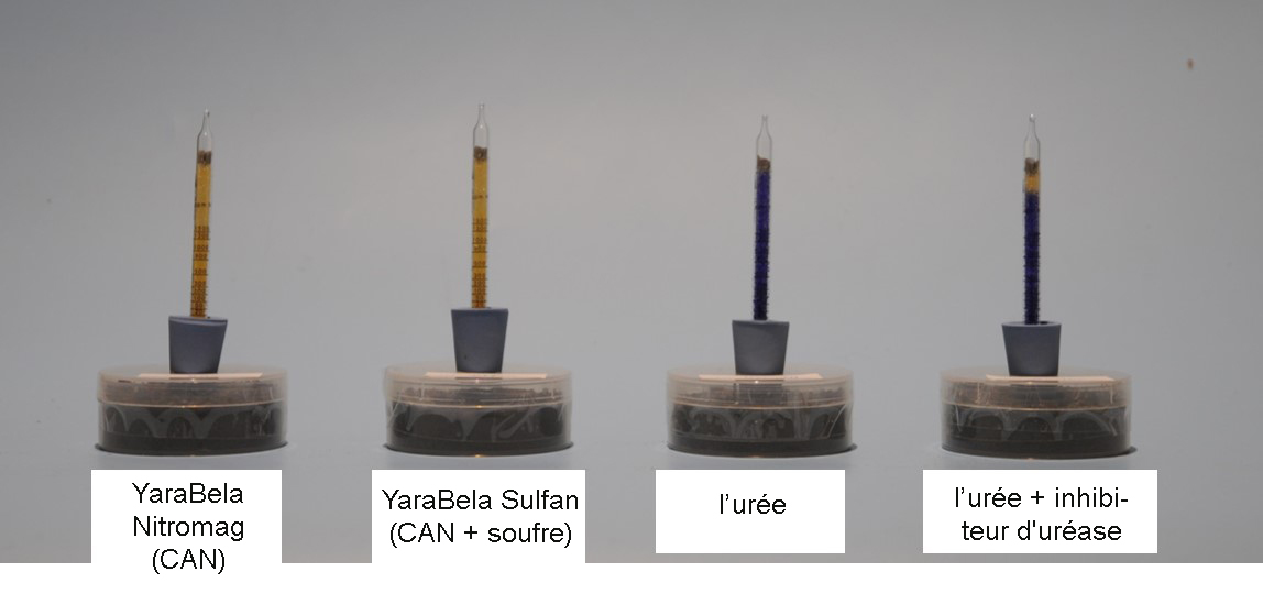 Figure 2  &Eacute;missions d'ammoniac 11 jours apr&egrave;s l'application - Ur&eacute;e et inhibiteur d&rsquo;ur&eacute;ase.jpg